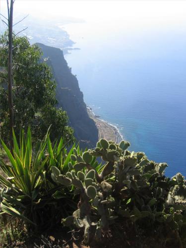 Fotos menos valoradas » Foto de Lola - Galería: VIAJES - Fotografía: ACANTILADO