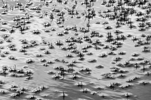 Fotografías mas votadas » Autor: Gustavo Hochman - Galería: Monocromo - Fotografía: 