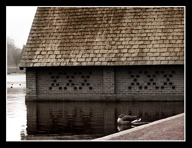 Fotografías mas votadas » Autor: Hugovl - Galería: De cerca - Fotografía: Hyde Park