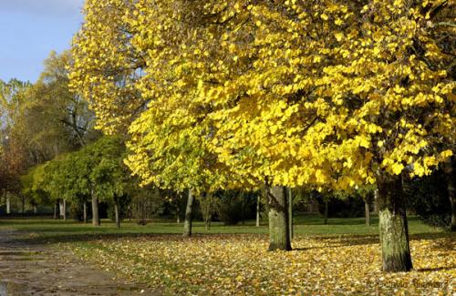 Fotos mas valoradas » Foto de avesnatureza - Galería: ambientes e momentos - Fotografía: parque1