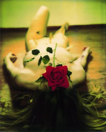 Fotografías mas votadas » Autor: MARIO VEGA - Galería: GENESIS - Fotografía: Genesis 3:12