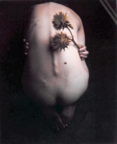 Fotografías mas votadas » Autor: MARIO VEGA - Galería: GENESIS - Fotografía: 