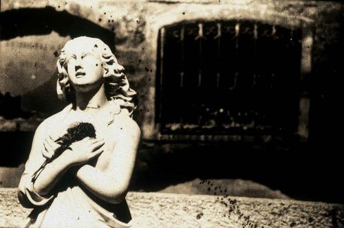 Fotografías mas votadas » Autor: MARIO VEGA - Galería: ABSORCION - Fotografía: ELLA