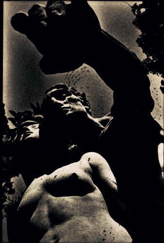 Fotografías mas votadas » Autor: MARIO VEGA - Galería: ABSORCION - Fotografía: GENESIS