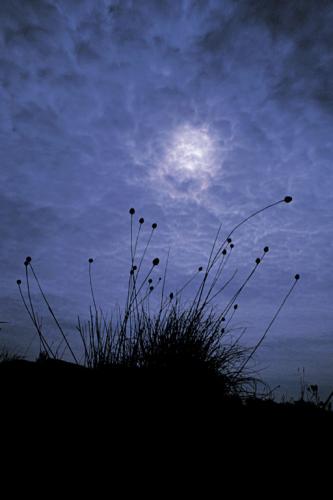 Fotos menos valoradas &raquo; Foto de JOSE JOAQUIN PEREZ SORIANO - Galer&iacute;a: Naturaleza y paisaje - Fotograf&iacute;a: Tormentoso