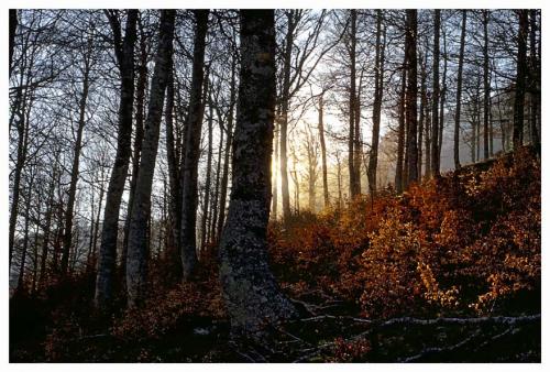 Fotos menos valoradas » Foto de JOSE JOAQUIN PEREZ SORIANO - Galería: Naturaleza y paisaje - Fotografía: Ocaso