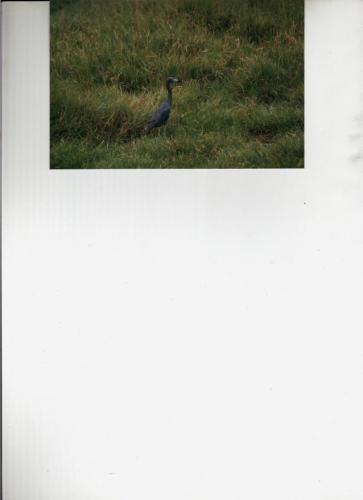 Fotos menos valoradas » Foto de Atilio - Galería: Varios - Fotografía: 