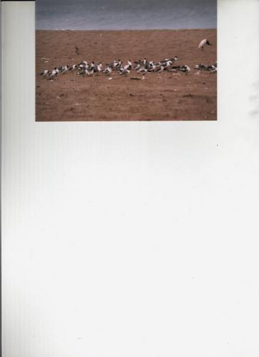 Fotos menos valoradas » Foto de Atilio - Galería: Varios - Fotografía: 