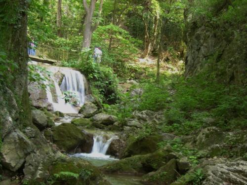 Fotos mas valoradas » Foto de acastellanos - Galería: Su Grandeza - Fotografía: El paraiso?