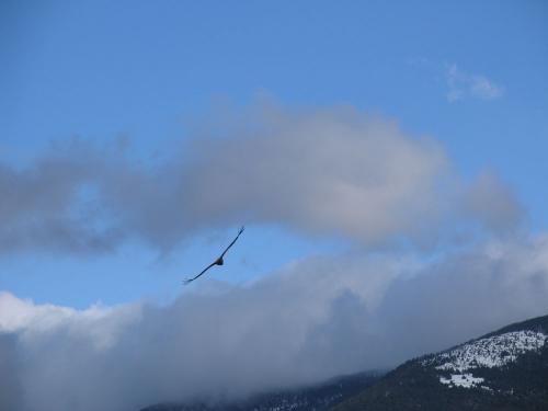 Fotos mas valoradas » Foto de Lina - Galería: Color, reflejos, vida.... - Fotografía: Vuelo libre