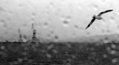 Fotos menos valoradas » Foto de Esther Mguez - Galería: Lo que ven mis ojos - Fotografía: Huyendo