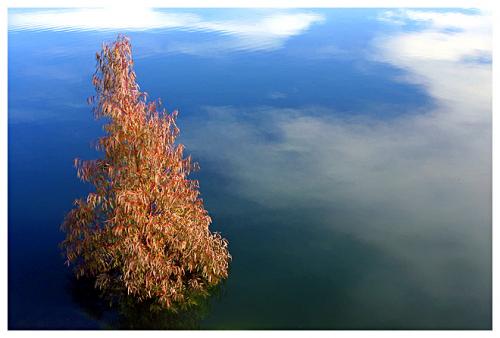 Fotografías mas votadas » Autor: Emiliano Rodrguez Fotgrafo - Galería: Fotografa de viaje - Fotografía: Flotando