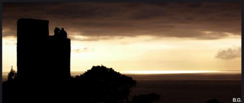 Fotos mas valoradas » Foto de B.G. - Galería: Torre de Ses Animes - Fotografía: 