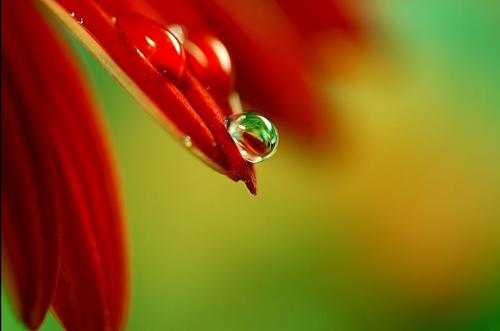 Fotografías mas votadas » Autor: yara - Galería: Naturaleza - Fotografía: 