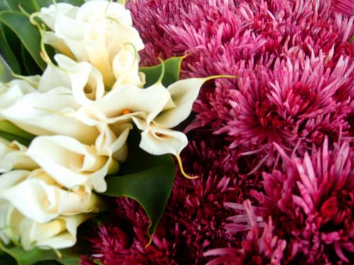 Fotos menos valoradas » Foto de yara - Galería: Naturaleza - Fotografía: 