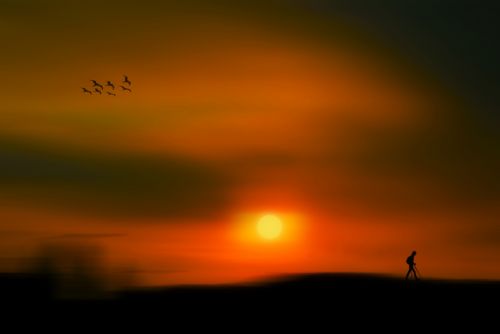 Fotografías menos votadas » Autor: Nitgard / Nit Photography - Galería: Isolats - Fotografía: Sunset Walk