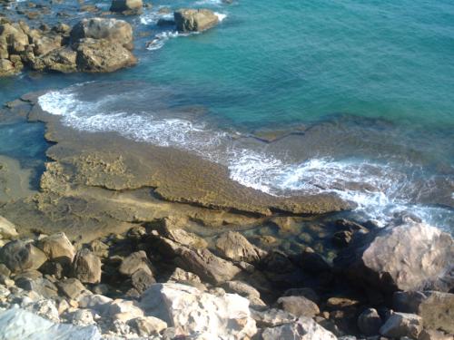 Fotos menos valoradas &raquo; Foto de litos - Galer&iacute;a: mis fotos - Fotograf&iacute;a: 