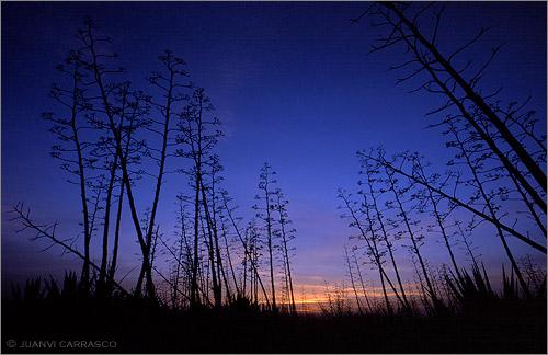 Fotografías mas votadas » Autor: Juanvi Carrasco - Galería: Cabo de Gata - Fotografía: Las Amoladeras