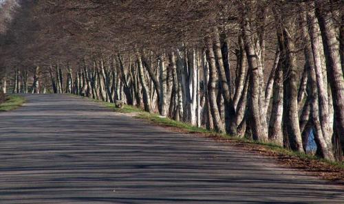 Fotografías mas votadas » Autor: Miguel - Galería: goku goku - Fotografía: infinity