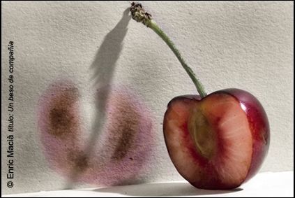 Fotos mas valoradas » Foto de Enric Maci - Galería: La caja negra del viajero - Fotografía: Beso de compaia