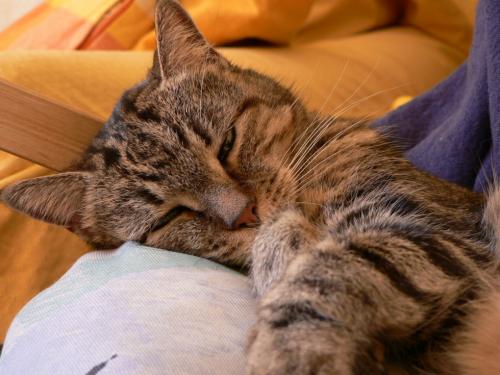 Fotos mas valoradas » Foto de alberto - Galería: Varios - Fotografía: 