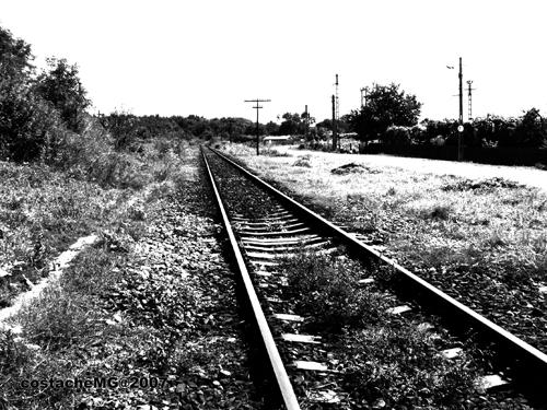 Fotos mas valoradas » Foto de kotoyou - Galería: Sin Titulo - Fotografía: Vas de tren