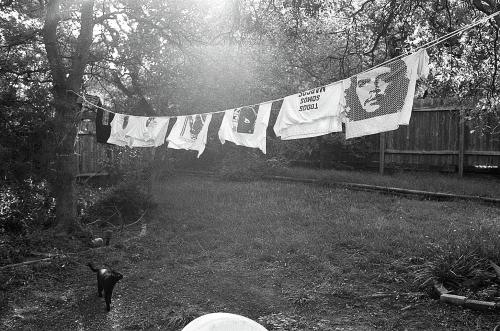 Fotos menos valoradas » Foto de Eduardo Vera Tlaloc - Galería: Viajes y Paisajes en Blanco y Negro - Fotografía: Gato mirando a Che