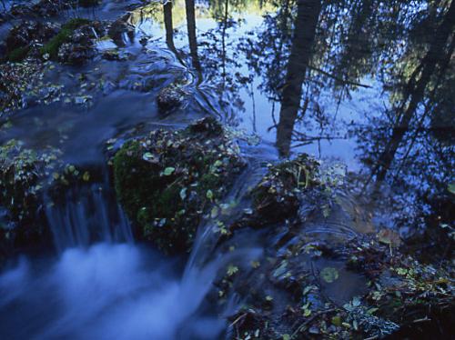 Fotos mas valoradas » Foto de Sin Nombre - Galería: Naturaleza Intima - Fotografía: Rio Cuervo 2
