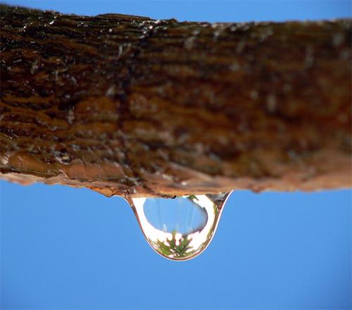 Fotos menos valoradas » Foto de tomaneg - Galería: Macro - Fotografía: gota de rocio