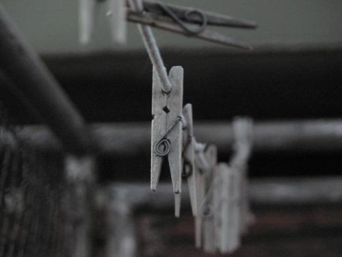 Fotos menos valoradas » Foto de Adonis - Galería: Gracias a lo cotidiano - Fotografía: Entre el cielo y l