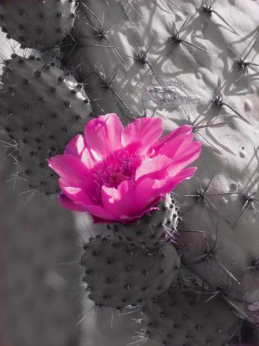 Fotos mas valoradas » Foto de isidro rueda - Galería: ciudad de mexico - Fotografía: FLOR