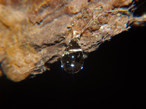 Fotos mas valoradas » Foto de Txemita - Galería: Seres diferentes de este mundo - Fotografía: Gotas