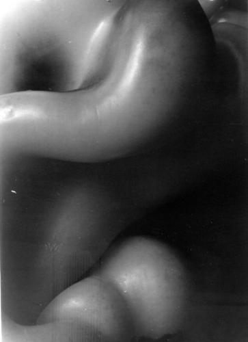 Fotografías mas votadas » Autor: Persia - Galería: NUS-NOUS. - Fotografía: nus nous