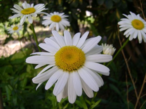 Fotos menos valoradas &raquo; Foto de Luna - Galer&iacute;a: Naturaleza - Fotograf&iacute;a: 