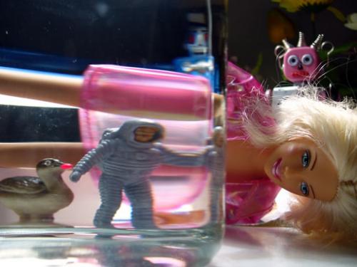 Fotos mas valoradas » Foto de Miguel Angel Pasalodos - Galería: miradas - Fotografía: 