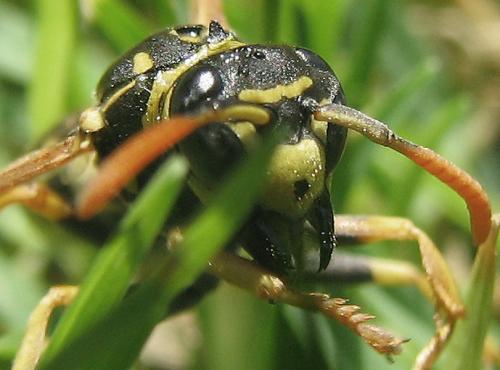 Fotos menos valoradas &raquo; Foto de christian - Galer&iacute;a: nos miramos..? - Fotograf&iacute;a: 