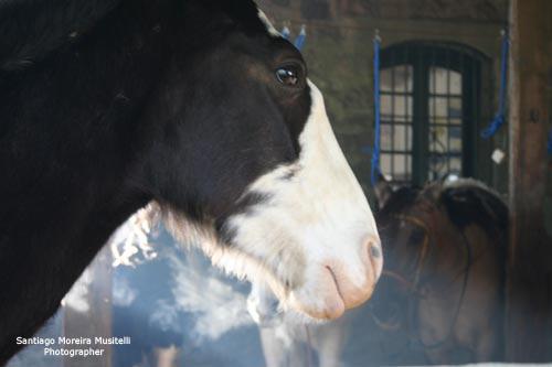 Fotos menos valoradas » Foto de Santiago Moreira Musitelli - Galería: Mi Uruguay - Fotografía: 