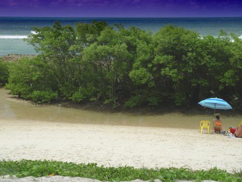 Fotografías mas votadas » Autor: Maymone - Galería: Naturaleza - Fotografía: Pouca preocupao