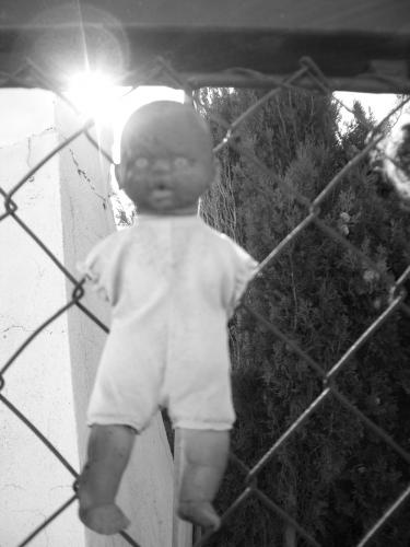 Fotos menos valoradas » Foto de SuperVox - Galería: FOTOS VOX - Fotografía: el guardian