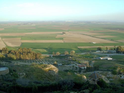 Fotografías mas votadas » Autor: Franal - Galería: NATURALEZA VIVA - Fotografía: 