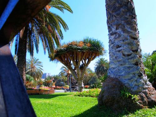 Fotos mas valoradas » Foto de Gran Canaria Virtual - Galería: Gran Canaria - Fotografía: 