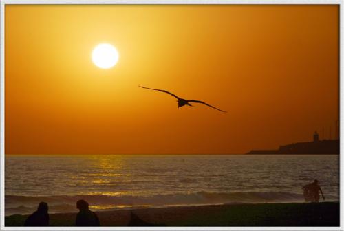Fotos mas valoradas » Foto de Rafael - Galería: Puesta de sol - Fotografía: 
