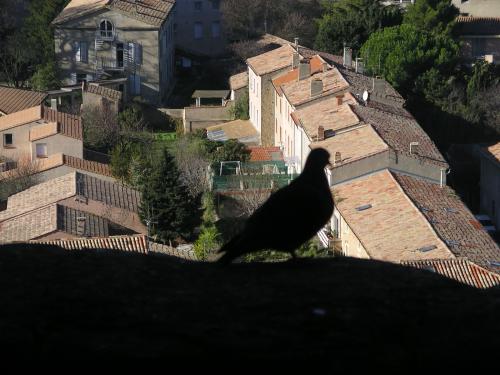 Fotografías mas votadas » Autor: Laura Amanda - Galería: Paisajes, arquitectura y color - Fotografía: Paloma o ciudad?