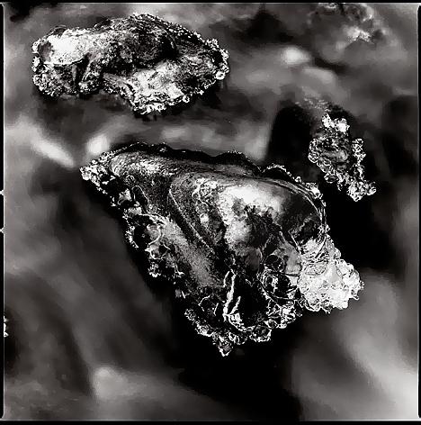 Fotos menos valoradas » Foto de Luis Henriques - Galería: Naturaleza - Fotografía: Glace