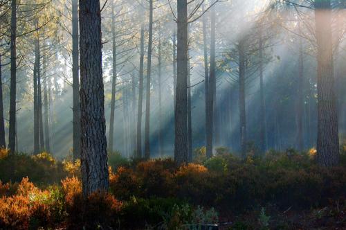 Fotografías mas votadas » Autor: Jose Pinto - Galería: Sol & Luz - Fotografía: Light Games