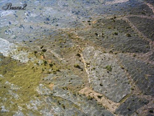 Fotografías mas votadas » Autor: Busca2 - Galería: El Agua - Fotografía: El Fondo