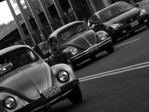 Fotografías mas votadas » Autor: Javier Reynada - Galería: Digital B/N - Fotografía: 3 en Linea