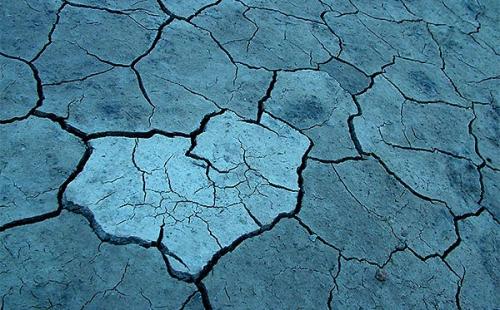 Fotografías mas votadas » Autor: Sin Nombre - Galería: fotos de naturaleza - Fotografía: la pieza que falta