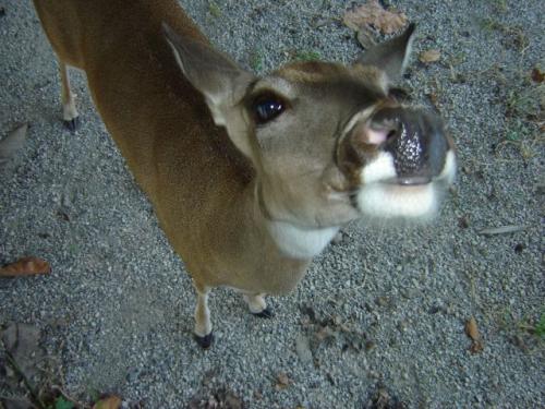 Fotografías mas votadas » Autor: Nerio - Galería: Mis Fotos - Fotografía: 