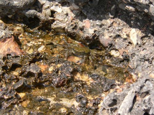 Fotos mas valoradas » Foto de J_R - Galería: FREE DREAMS - Fotografía: CRANC